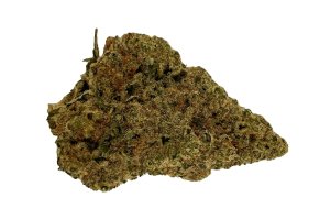 Sibanax MCF 23/1 Mac Fem